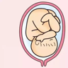 胎位是什么意思 胎儿胎位有几种