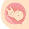 孕早期前置胎盘是怎么造成的