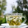 谷雨茶是什么时候的茶 谷雨茶的正确冲泡方法