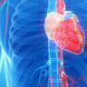 病毒性心肌炎是什么 病毒性心肌炎是什么症状