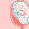 怀孕早期体温会升高吗