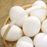 鹅蛋比鸡蛋好在哪 鹅蛋比鸡蛋有营养吗