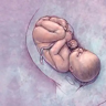 胎儿入盆时间 胎儿入盆是多少周