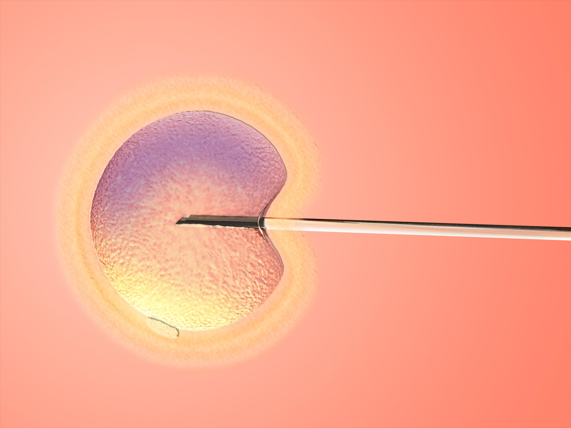 人体受精卵细胞受孕发育全过程医学三维动画视频素材,生物医疗视频素材下载,高清1920X1080视频素材下载,凌点视频素材网,编号:169856